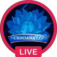 cendana777 APK Terbaru: Download Cepat dan Gratis